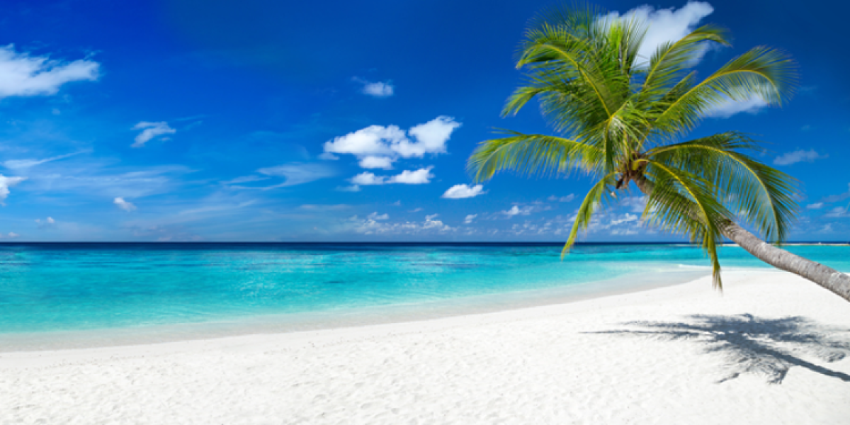 corridoio covid-free