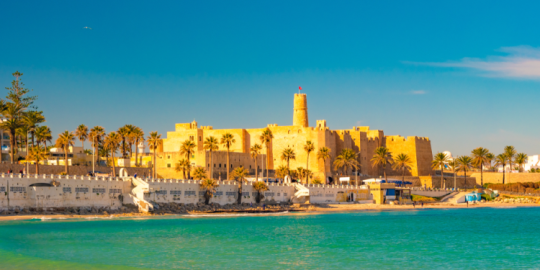 Intervista  a Mauro, espatriato a Monastir