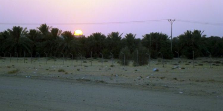 Usmani in Riyadh