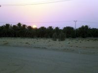 Usmani: "Life in Riyadh is quite structured"