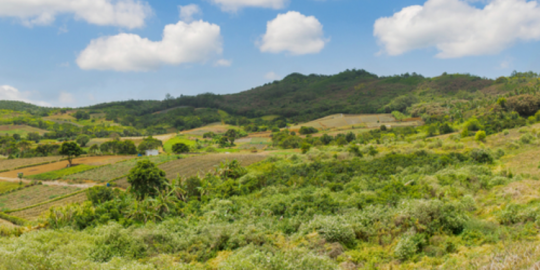 Discover the village of Les Mariannes