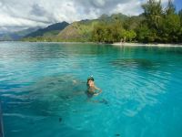 Brice: « Bien planifier son budget avant d'y aller »