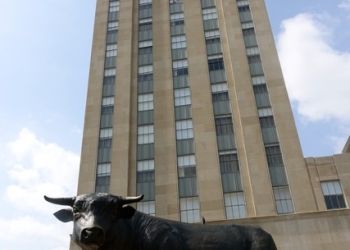 Cow and tower in Baltimore