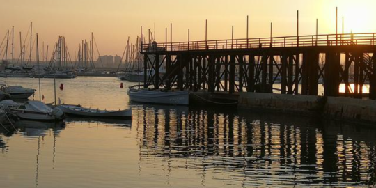 Francesco a Torrevieja: &laquo; cittadina tranquilla e sicura &raquo;