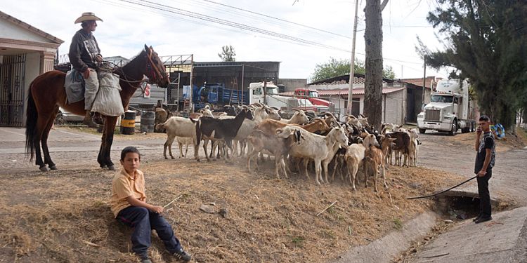 Everyday life scene in Mexico