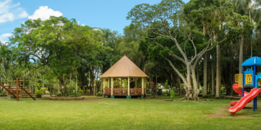 Le jardin Balfour : un lieu d'&eacute;vasion en pleine ville 