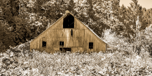 ¿Qué nos desgarra más, el tiempo o la distancia? 