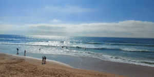 Carla e Walter, da Alessandria a Coimbra