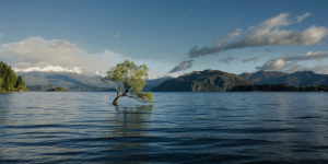 Natural disasters: How do countries respond to emergencies