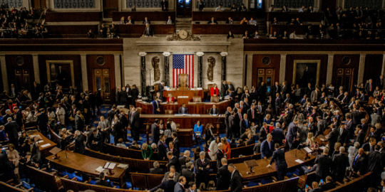 US mid-terms: Democrats rejoice over no Red wave 