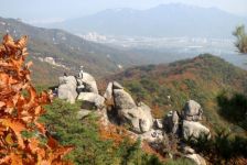 Manu: « Tout est accessible à Séoul »