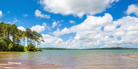 Actu en un coup d'&oelig;il : le taux de remplissage des r&eacute;servoirs &agrave; moins de 40 %