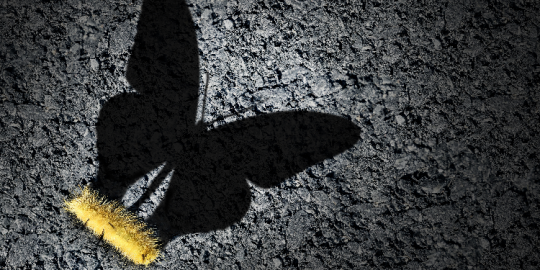 A&ntilde;o nuevo, vida nueva y otras falacias&nbsp;