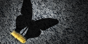 Año nuevo, vida nueva y otras falacias 