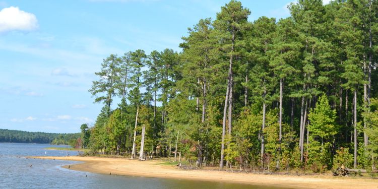 Nelly en Caroline du Nord