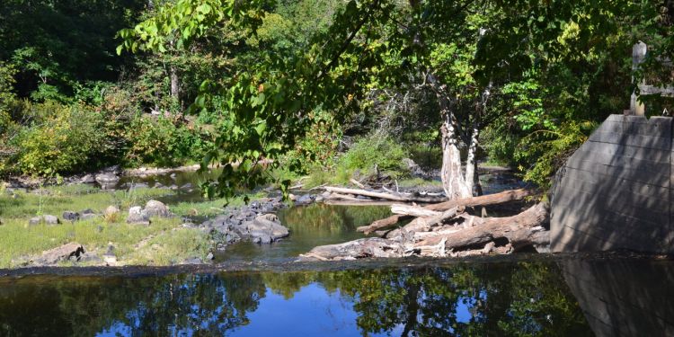 Nelly en Caroline du Nord
