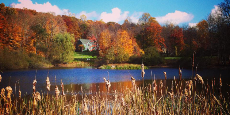 Vivre au Connecticut