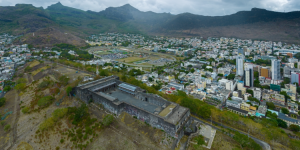 News of the week: Reforestation program at the Citadelle