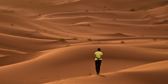 S'éloigner un temps de son pays d'origine pour apprendre à mieux le connaître