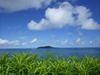 Antoine et Julie à Mamoudzou : « Il faut être ouvert d'esprit et se mettre au rythme local »