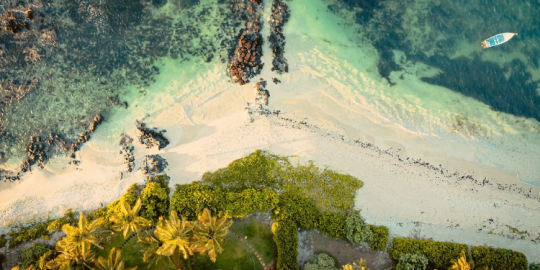 Live in Mauritius as an expatriate: A complete guide to a new life in the tropics