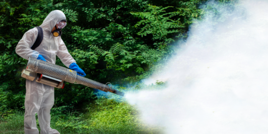 Actu de la semaine : Cas de dengue, m&eacute;tro et coop&eacute;ration renforc&eacute;e entre Maurice et La R&eacute;union