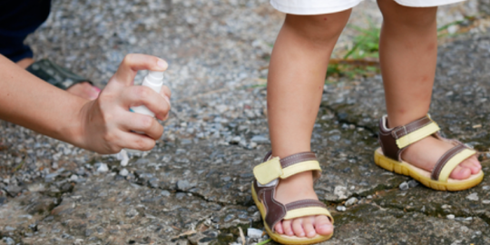 Dengue fever: What is it and how to protect yourselves?