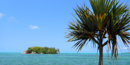 Actu de la semaine : Port de p&ecirc;che &agrave; Mah&eacute;bourg, manifestation &agrave; Rodrigues...