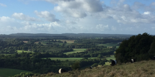 How we became an American expat family in England