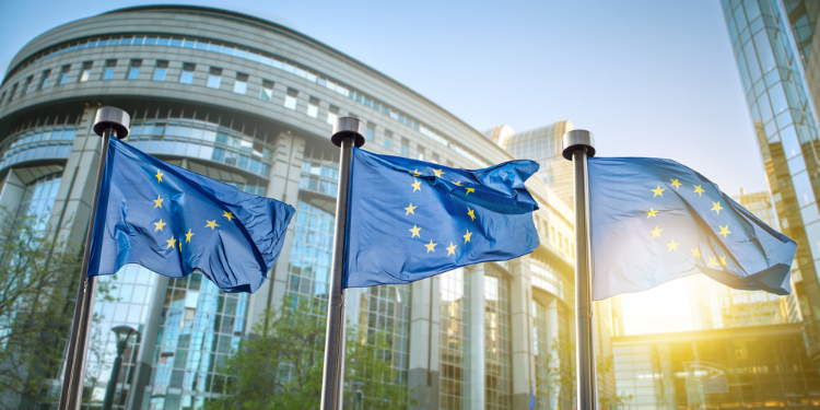 European Union flags