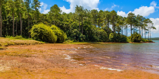 Assessing the drought risk this year: Preparing for the season