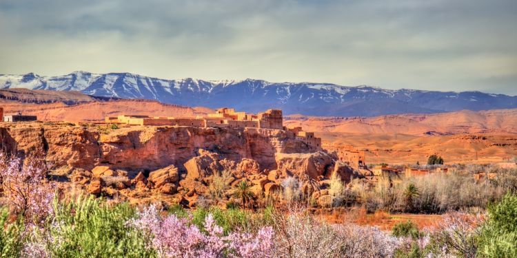 Vallee des roses au Maroc