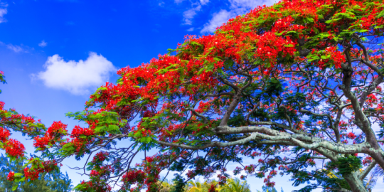 Summertime: The must-do this season