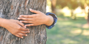 Les meilleures destinations écolos pour s'expatrier