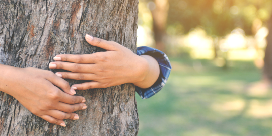 Earth Day: Environmentally conscious expat destinations