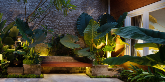 Our practical guide to gardening in Mauritius!