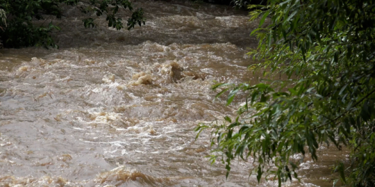 News highlights of the week: Severe rainfall causes floods