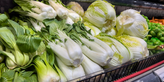 Culinary treasures unveiled: Dive into the Br&egrave;des exhibition at the Blue Penny Museum