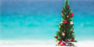 Noël sous un autre ciel : comment les expatriés vivent-ils les fêtes dans des hémisphères différents ?