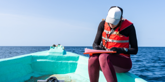 Actu de la derni&egrave;re semaine de 2023: Investissement majeur dans la pr&eacute;servation de l'&eacute;cosyst&egrave;me marin