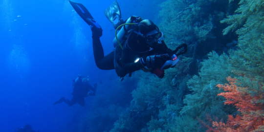 Sports nautiques : nos bons plans pour profiter de l'&eacute;t&eacute; &agrave; fond