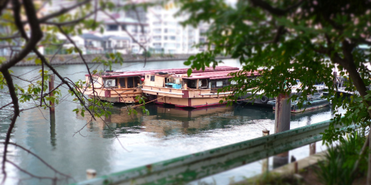 Une nolife au pays des mangas