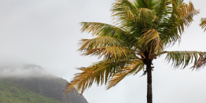 Cyclones : faut-il en avoir peur ?