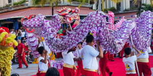 Agenda du mois de Février 2024 : sports, culture et festivités