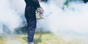 Condensé de l'actu: 539 cas de dengue et un 2e décès enregistré