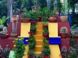 L’exposition ‘’Art, Garden, Life’’ de Frida Kahlo