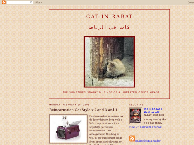 Cat in Rabat
