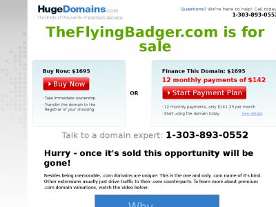 The Flying Badger