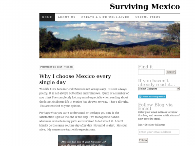Surviving Mexico Adventures and Disasters