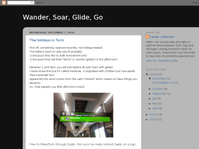 Wander Soar Glide Go....from Torino